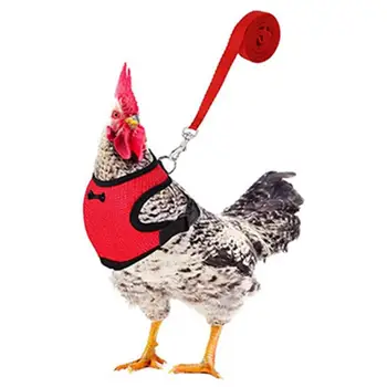 Упряжь для цыплят и поводок Регулируемая упряжь для уток с поводком и ремнем в тон Удобная жилетка для домашних животных, упряжь для дрессировки цыплят