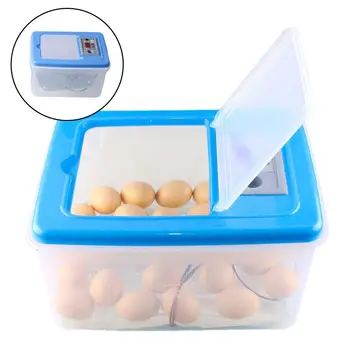 Инкубатор для яиц Скорость вылупления куриных перепелиных яиц Мини-инкубатор для яиц машина для выведения яиц аксессуары для животных