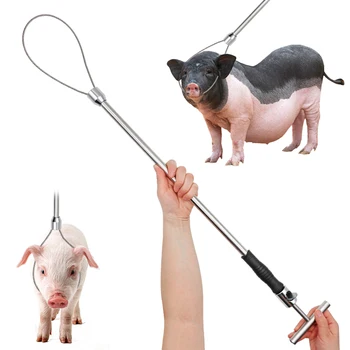 1 Шт Проволока из нержавеющей стали, Ловящая Свинью Лассо Baoding Pig Head Grab Устройство для захвата Свиньи Оборудование для свиней Удобная Безопасная Медная ручка